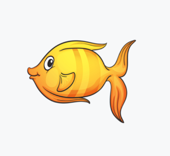 vissenklas 2019-2020